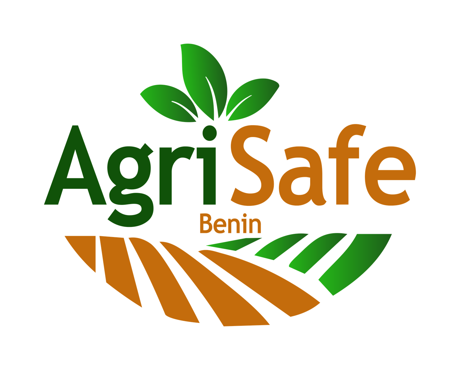 AgriSafe Benin logo