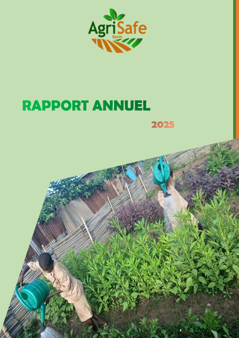 Rapport annuel 2025